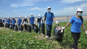 Beach Cleaning