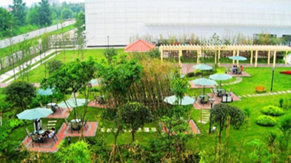 Intel Products CD garden