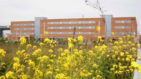 The wetland buffer zone contains vegetation and works to provide a protective barrier between wetland flora and fauna and neighboring land use.