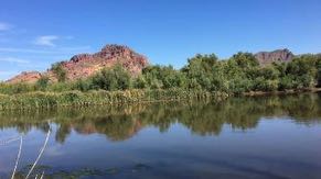 Intel has a long-standing commitment to environmental sustainability. Most recently, we funded several community-based projects in partnership with local nonprofits to restore water back to the local watershed – like this one in Tonto National Forest, which supports the Salt River Basin.