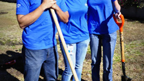 Voluntariado en el día mundial del agua: siembra de árboles