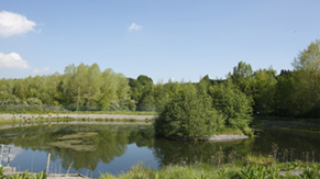 The retention pond collects surface water i.e. rainfall that collects on roof areas and site carparks. This water is monitored continuously