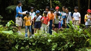 Voluteer Program Walk In Nature