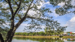 Kulim Lake Garden