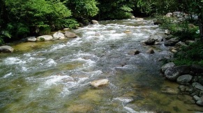 Kulim Sedim National Park River