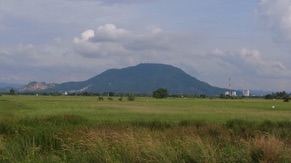 Paddy Field