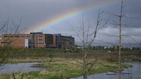 Ronler Acres is surrounded by both natural and man-made wetlands, which help control floodwater, filter storm water, and provide a natural habitat for plants and animals. The wetlands at Ronler Acres flow to Dawson Creek, a tributary of the Tualatin River.