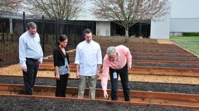 Ronler Acres is home to community gardens where employees can grow fruits and vegetables in the raised beds.