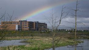 The Ronler Acres wetlands discharge to Dawson Creek, a tributary of the Tualatin River.