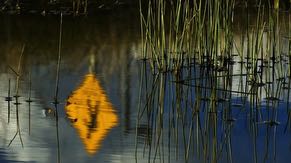 Pedestrian bridges provide protection to the wetlands while allowing access between parking areas and offices.